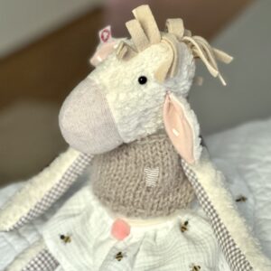 Aimée das Pony