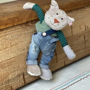 Kater Knut